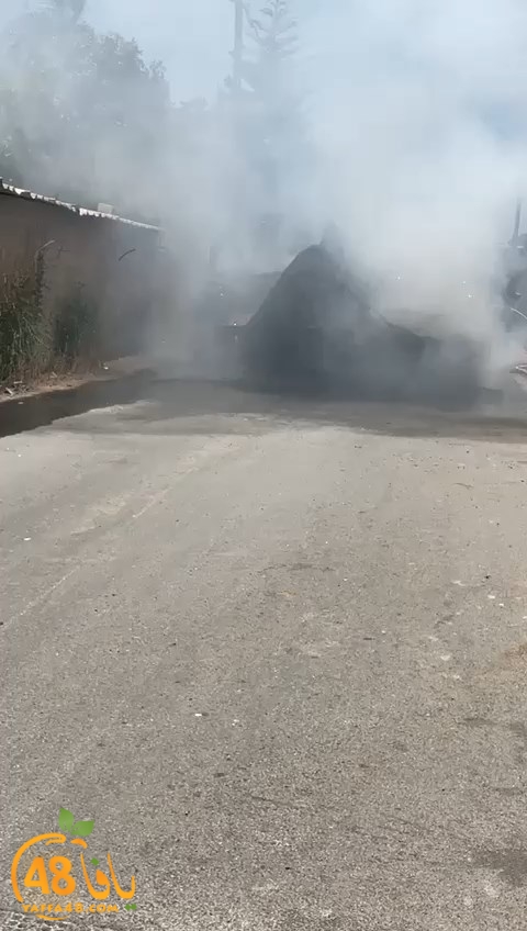 WhatsApp Video 2023-07-26 at 1.18.40 PM.mp4_snapshot_00.00_[2023.07.26_13.19.15].jpg